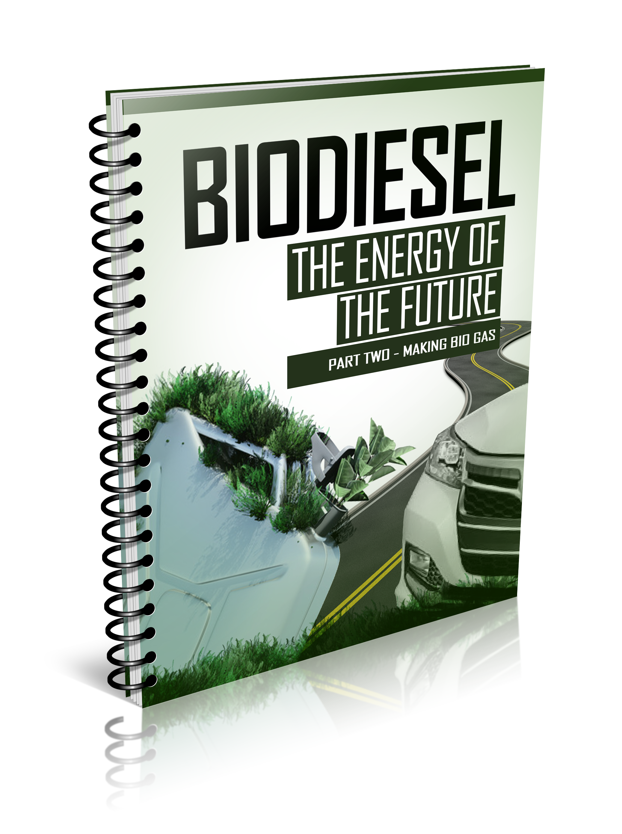 Energy Of The Future Biogas